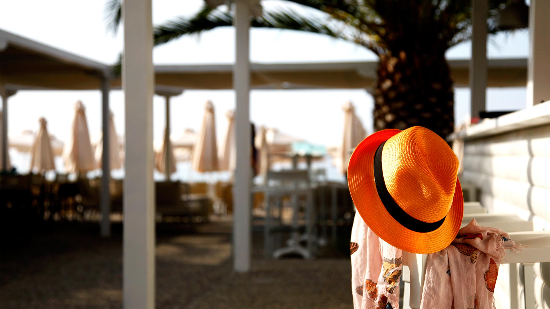 Paradisio Beach Bar - Restaurant — photo 3